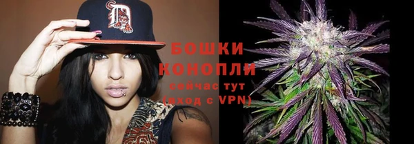 а пвп мука Новозыбков
